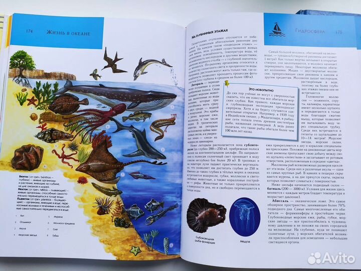 Энциклопедии, книги подарочные издания