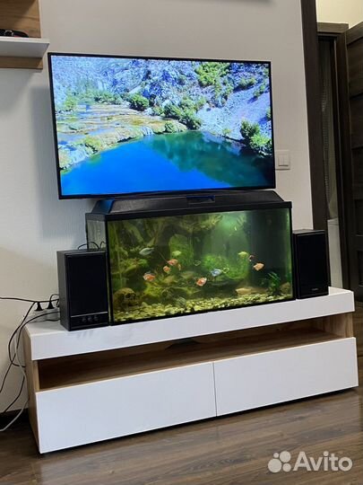 Аквариум с рыбками бесплатно