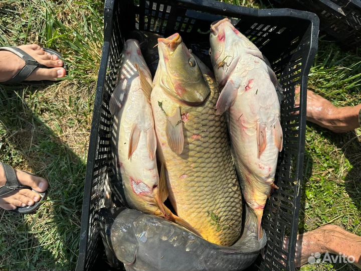 Рыбалка отдых