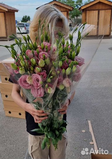 Эустома Лизиантус опт цветы