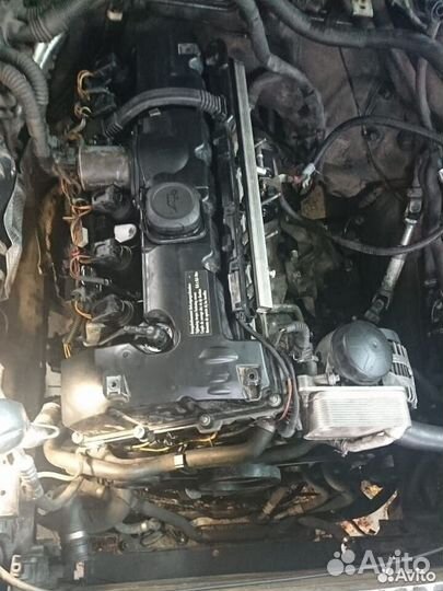 Диагностика кодирование программирование BMW