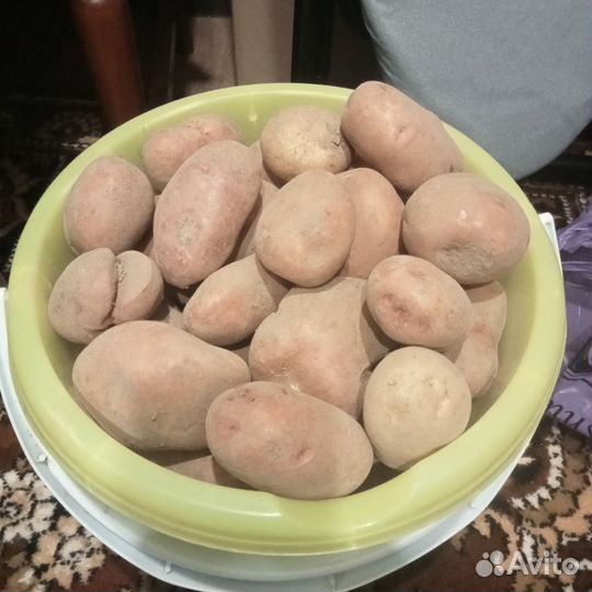 Картофель