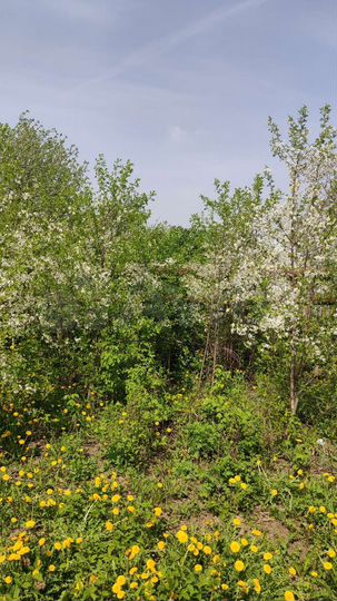 Дача 20 м² на участке 6 сот.