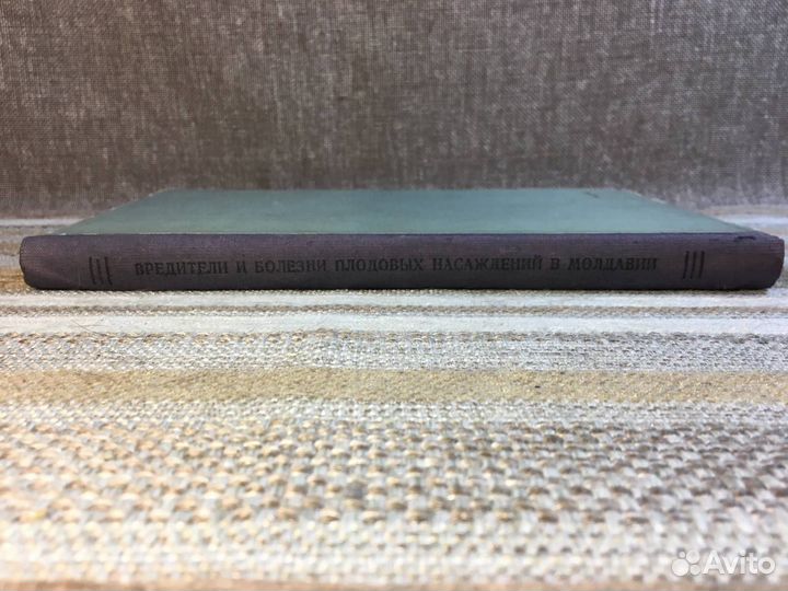 Вредители и болезни плодовых в Молдавии. 1954 год