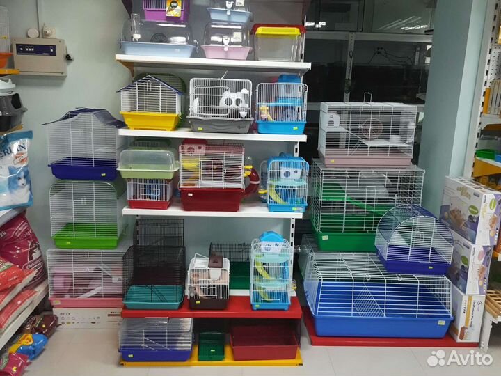 Клетки, хомячки, крысята
