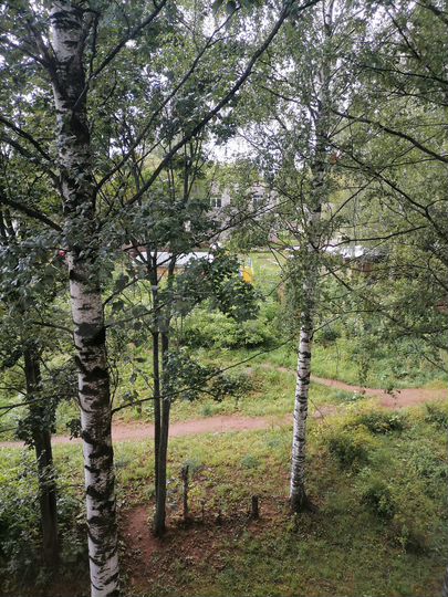 3-к. квартира, 56,5 м², 4/5 эт.