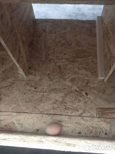 Гнездо для кур