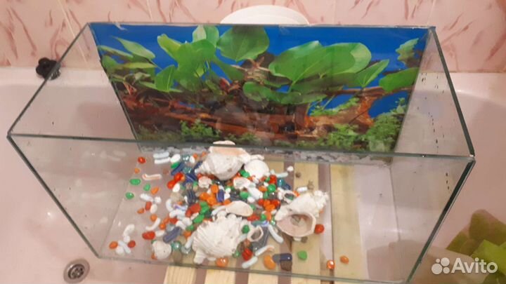 Аквариум