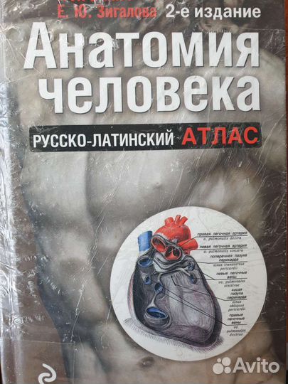Атласы анатом.человека.Кинезиология,суставы,кости