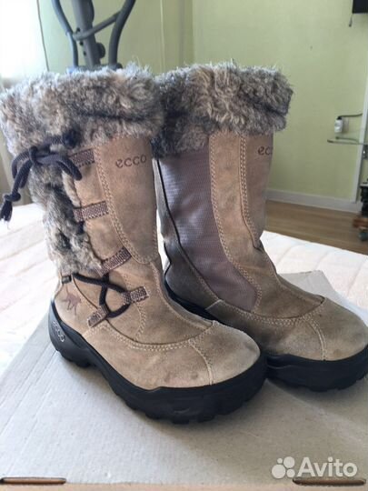 Зимние сапоги ecco