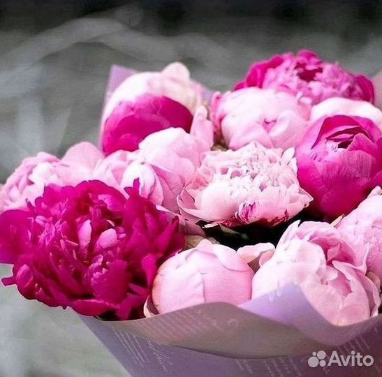 Пионы Букеты Цветы Доставка
