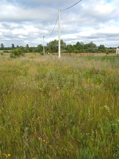 Участок 16 сот. (ИЖС)