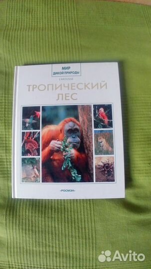 Познавательные книги
