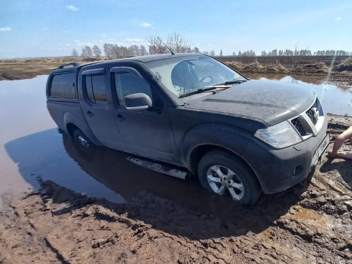Nissan Navara: фото владельца
