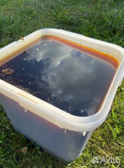 Мед оптом/Доставка по РФ