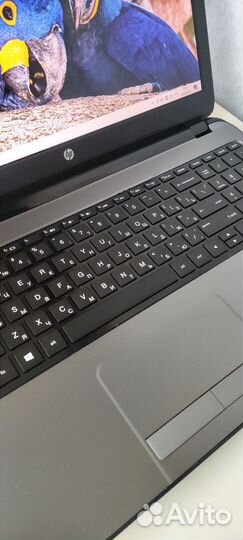 Ноутбук hp/ssd/аккум новый