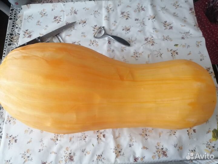 Продам тыкву