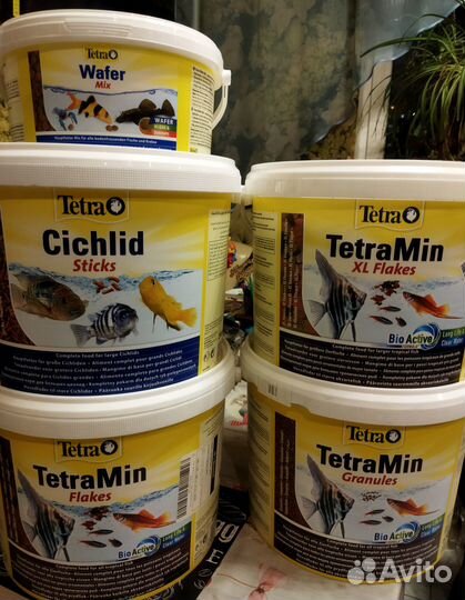 Корм для рыб