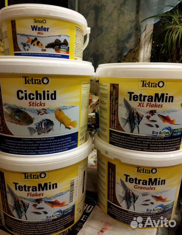 Корм для рыб