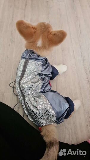 Комбинезон для собаки