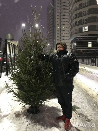 Живая новогодняя Ёлка