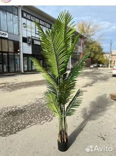 Цветы и деревья