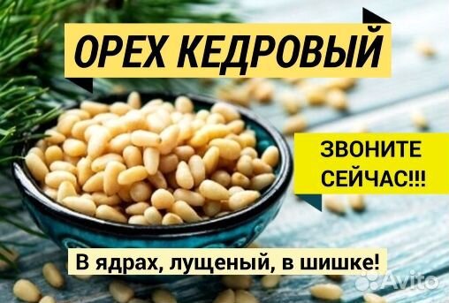 Кедровый орех оптом