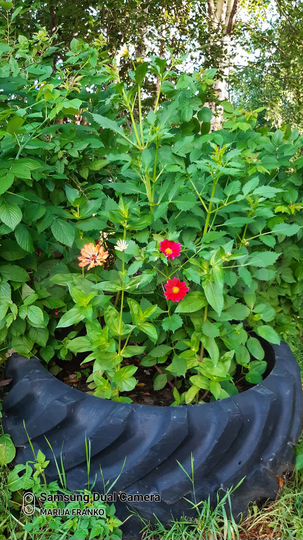 Дача 20 м² на участке 13 сот.