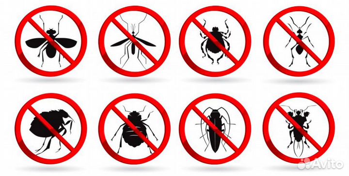 Уничтожение клопов, тараканов, блох. Дезинсекция