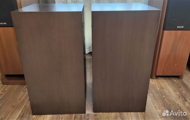 Акустика Diatone DS-505 Hi-End