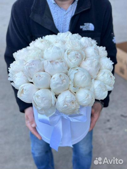 Пионы / Доставка цветов