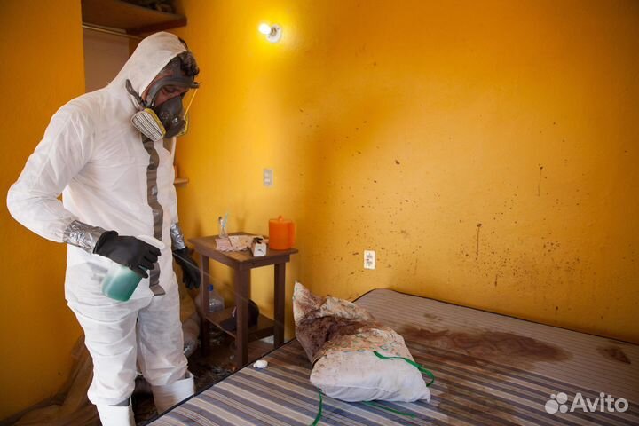 Уборка после смерти, клининг после умерших