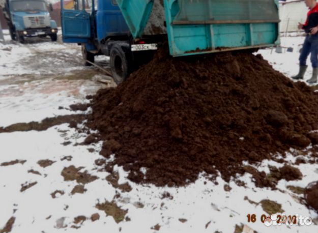 Навоз под клубнику