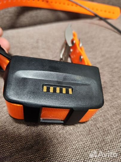 Ошейник Garmin T5 Русский для Astro 320