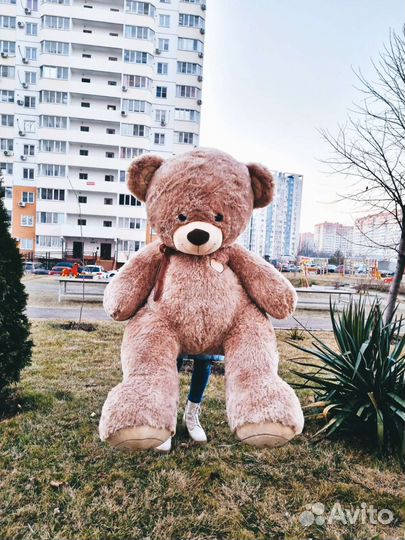 Большие мишки 70-230 см. Плюшевый мишка. Доставка