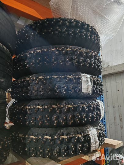 Lappi Winter 10/65 R15 30P