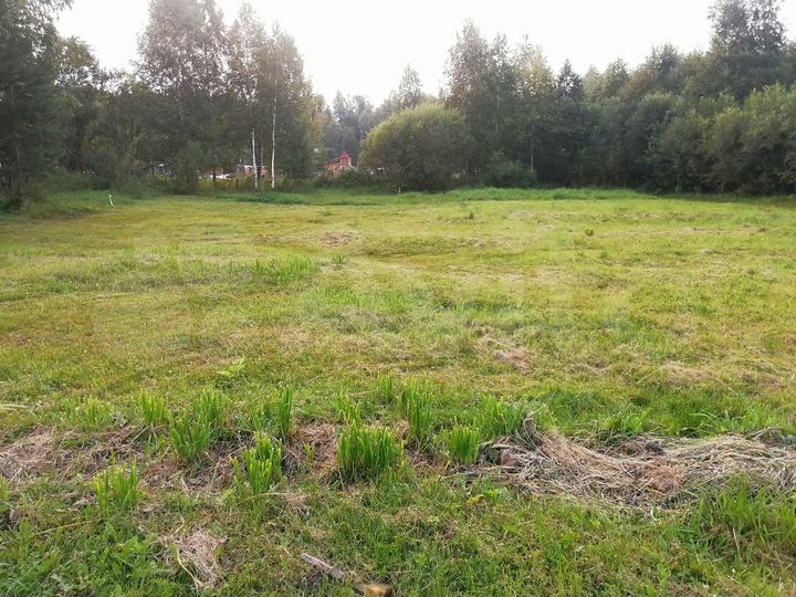 Участок 5 сот. (СНТ, ДНП)