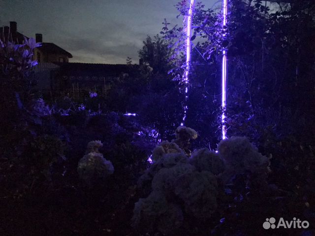 Гибкий неон 220v RGB