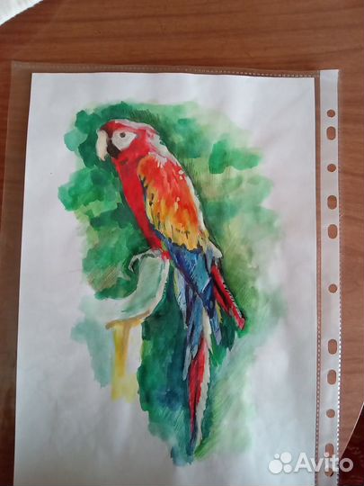 Рисунок попугая