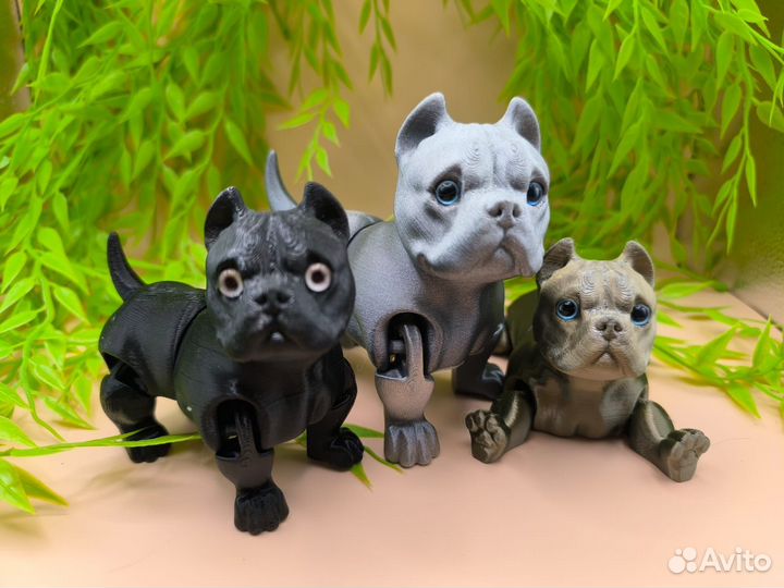 Американский булли и чихуа