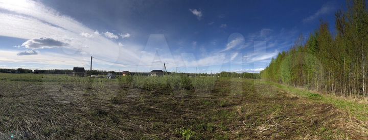 Участок 38 сот. (ИЖС)