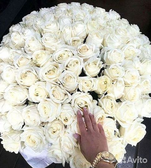 Букет роз 101 роза 51 роза