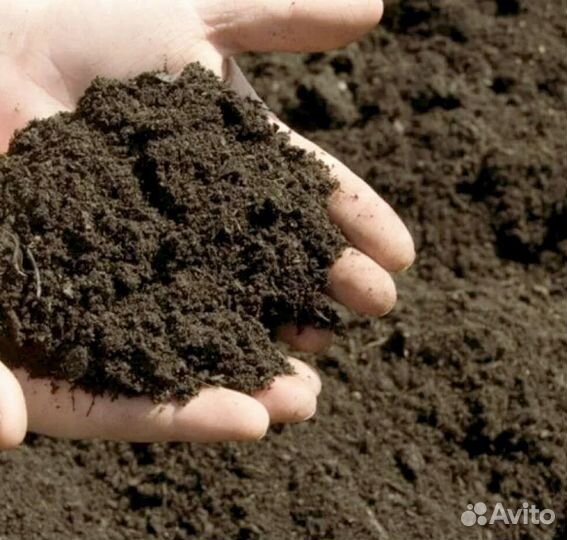 Земля плодородная