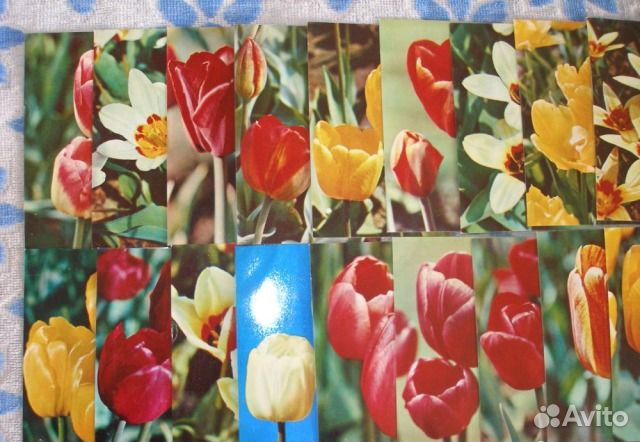 Набор цв. открыток 