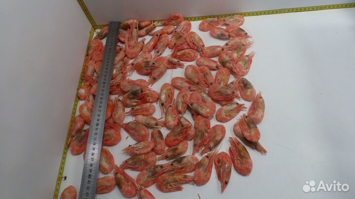 Креветка северная 70 90 Мурманск