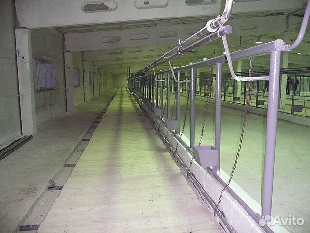 Стойловое содержание крс 100 голов под ключ