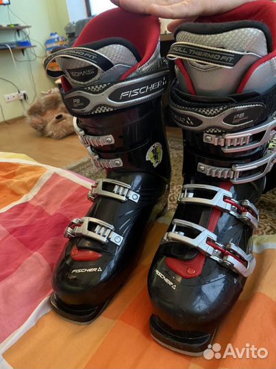 Горнолыжные ботинки fischer