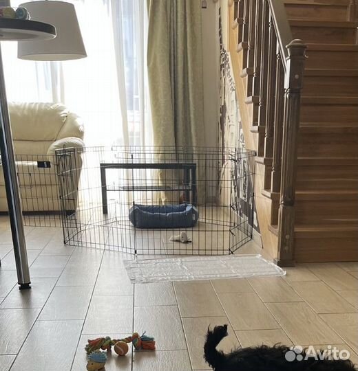 Вольер для щенков в квартиру