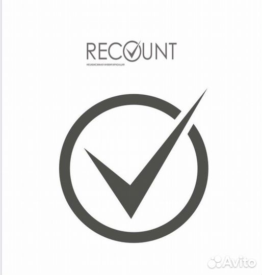 Счетчик ревизор Владимир