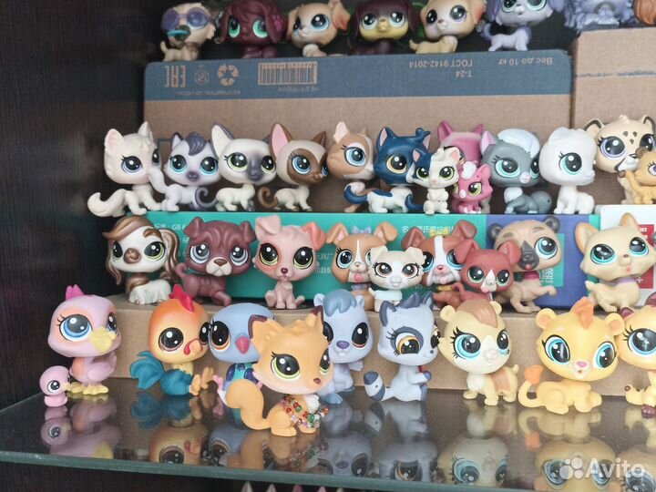 Littlest pet shop
